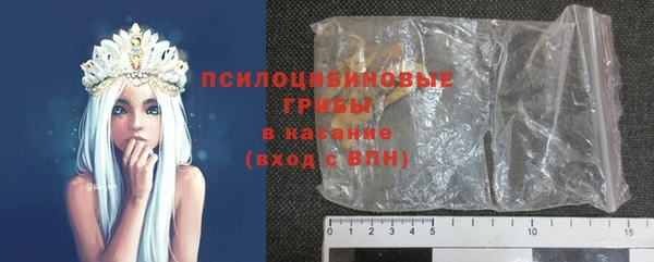 гидра Балахна