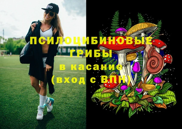 гидра Балахна