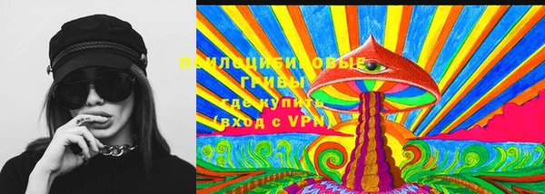 скорость Баксан