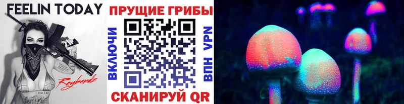 Галлюциногенные грибы MAGIC MUSHROOMS  Владимир 