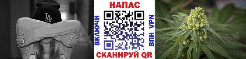 kraken как войти  Владимир  МАРИХУАНА OG Kush 